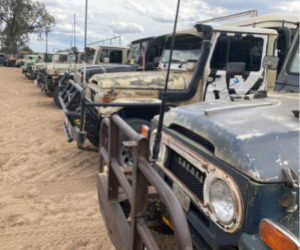 LDFD Cars on dirt Injune