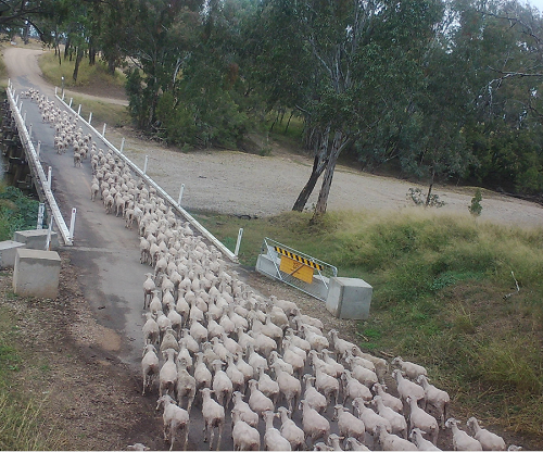 Goondiwindi cam images 1 3