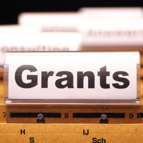 Grants article 540x540