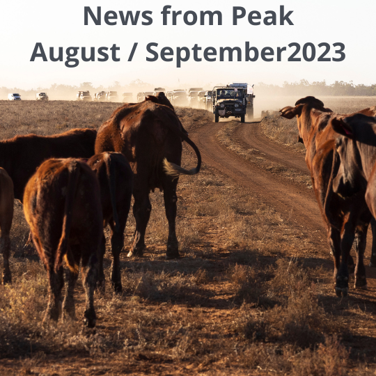 News from Peak (Aug/Sept 2023)