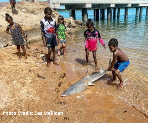 Images for aug sept newsletter web 7 Mornington Island Children on beach